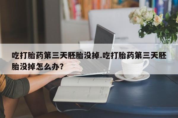 米非米索购买联系吃打胎药第三天胚胎没掉.吃打胎药第三天胚胎没掉怎么办？
