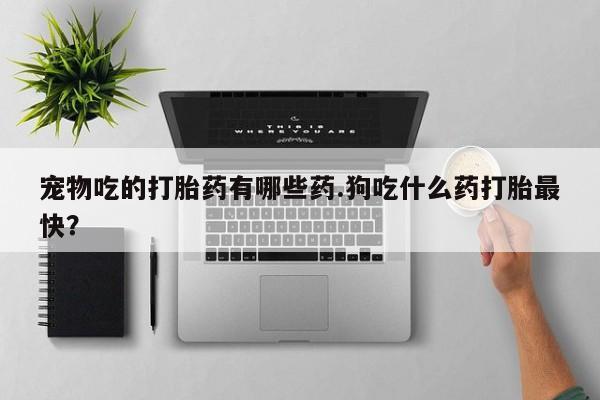 米非米索购买联系宠物吃的打胎药有哪些药.狗吃什么药打胎最快？
