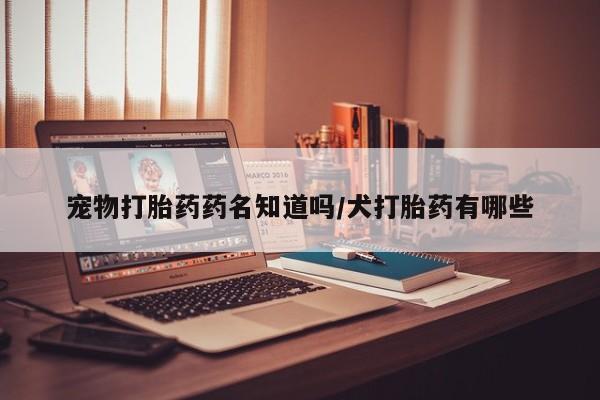 米非米索购买联系宠物打胎药药名知道吗/犬打胎药有哪些