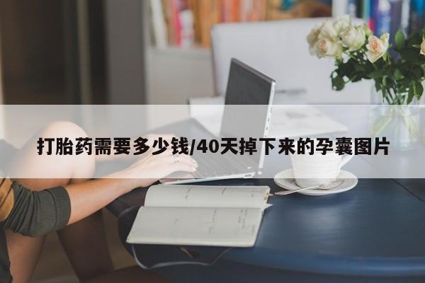 米非米索购买联系打胎药需要多少钱/40天掉下来的孕囊图片