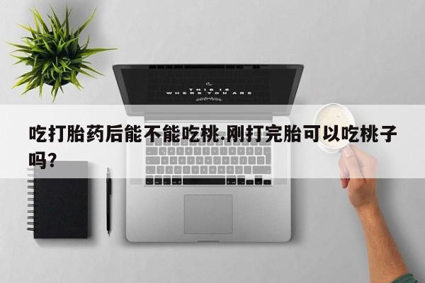 米非米索购买联系吃打胎药后能不能吃桃.刚打完胎可以吃桃子吗？